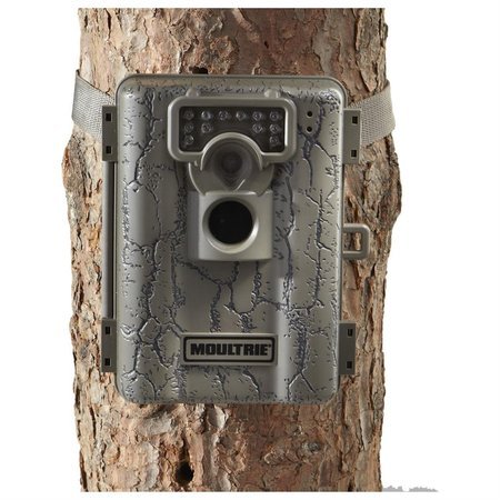 Setting up the Moultrie Game Camera - YouTube