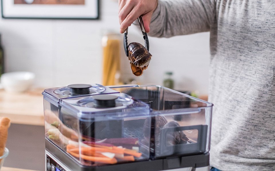 5 Best Food Steamers Dec. 2017 BestReviews