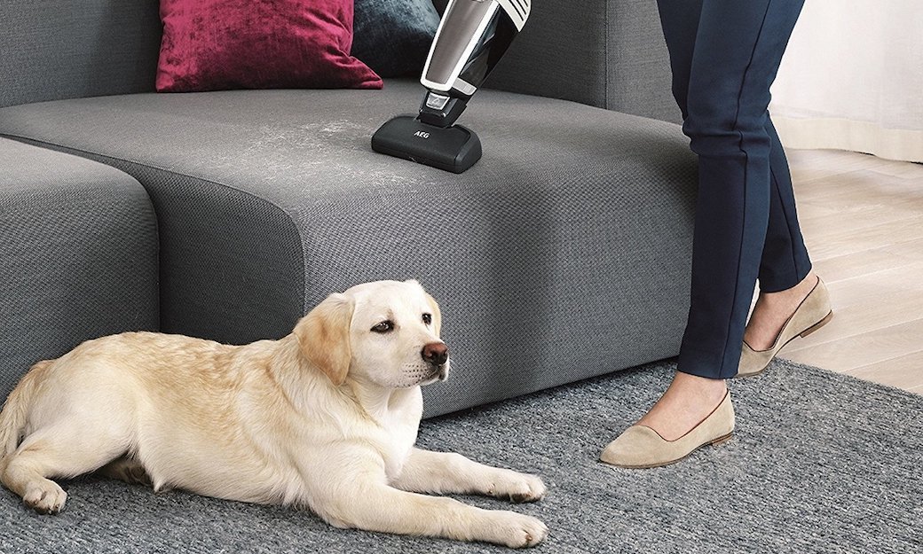 5 Best Pet Vacuums Oct. 2017 BestReviews