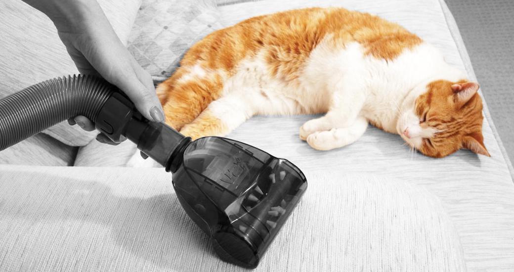 5 Best Pet Vacuums Oct. 2017 BestReviews