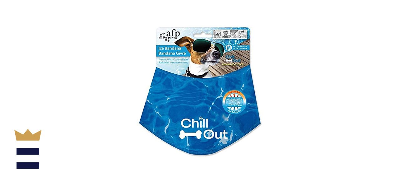 k9 chill cooling collar