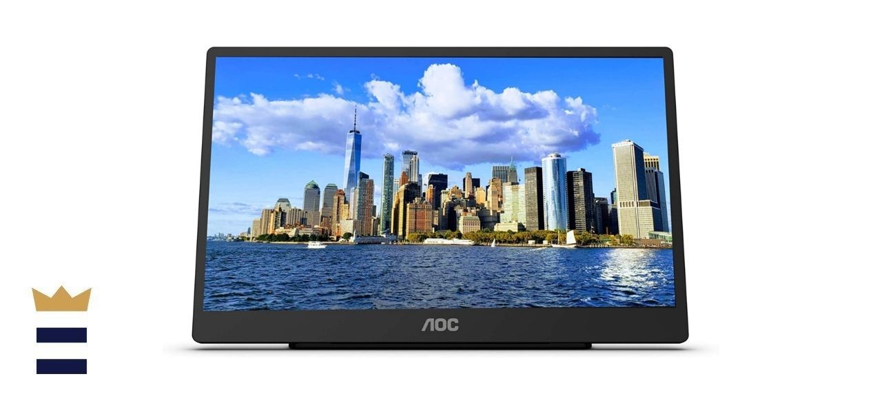 aoc vs asus portable monitor