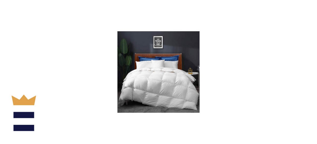 Best goose down comforter PIX11