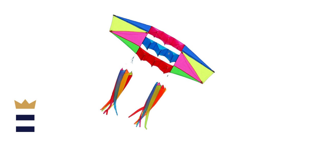 Besra Huge Colorful Fox Kite Single Line Easy to Fly Animal Nylon Kite with Handle & Strings for Kids & Adults Besra Huge Colorful Fox Kite Single Line Easy to Fly Animal Nylon Kite with Handle & Strings for Kids & Adults