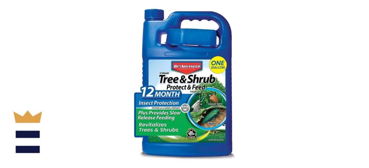 BioAdvanced Tree &amp; Shrub Protect and Feed Plant Food &amp; Fertilizer with Insect Protection