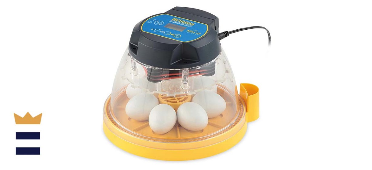 Brinsea Mini II Advance Automatic 7-Egg Incubator