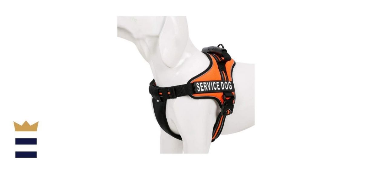 Chai’s Choice Premium Service Dog Harness