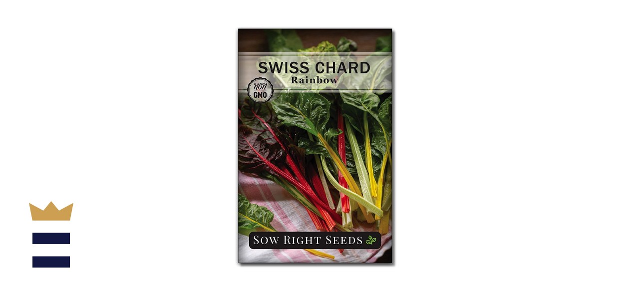 sow right seeds - rainbow swiss chard seed for planting