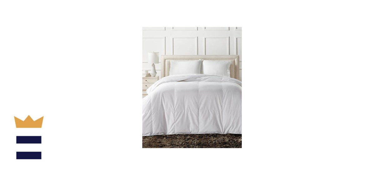 Best goose down comforter PIX11