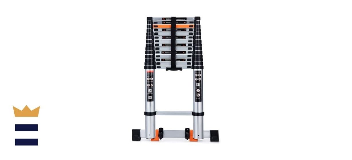 Energy Bear 18.5-Foot Telescoping Ladder