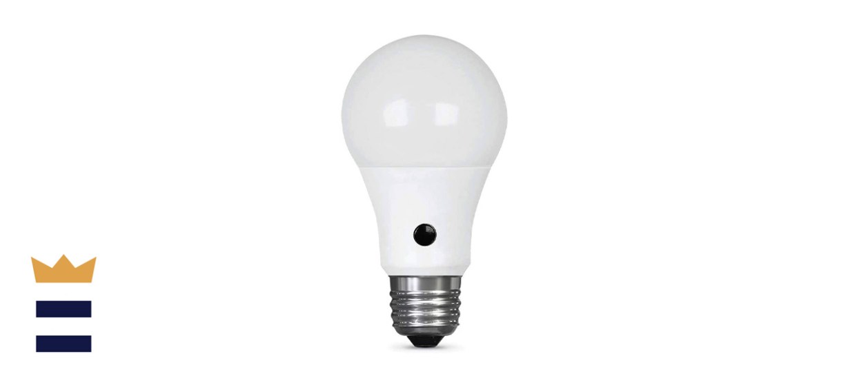 Feit Electric Dawn to Dusk Intellibulb