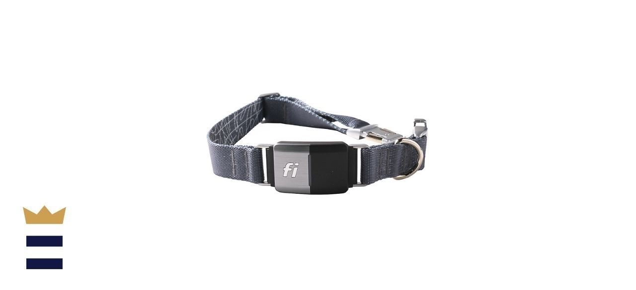 dog tracker petsmart