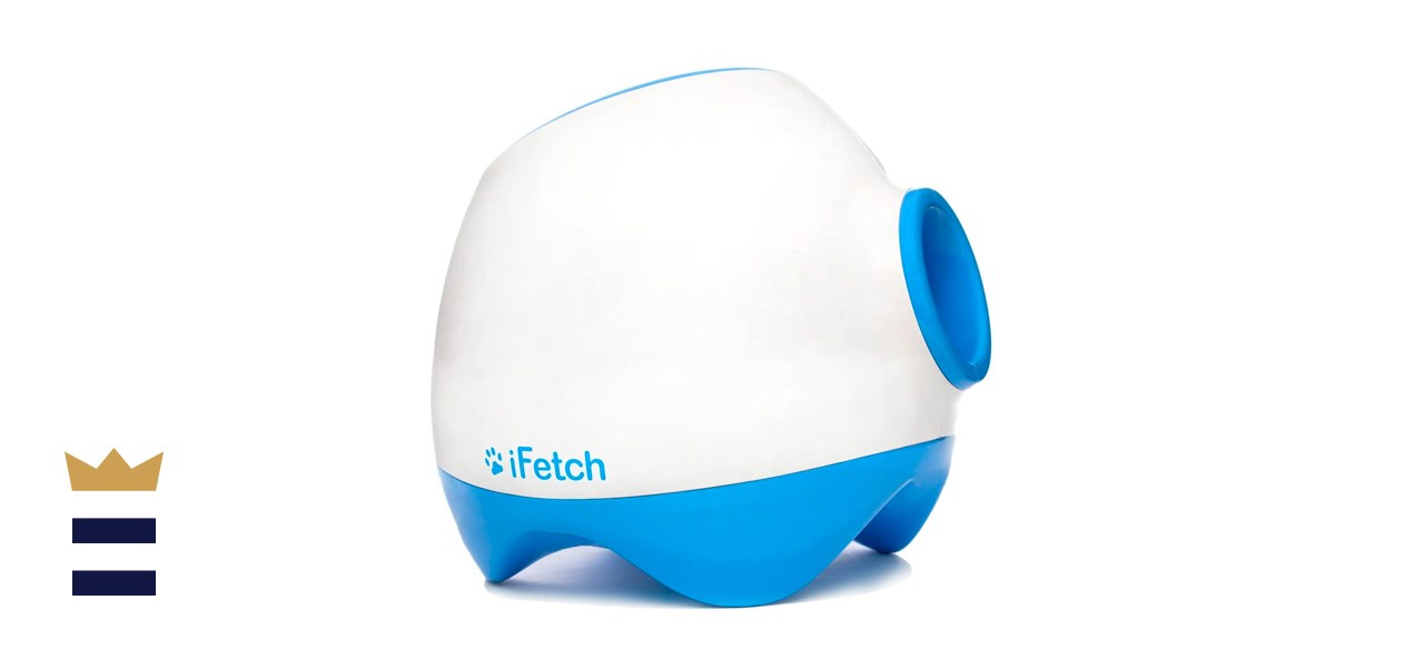 petsmart automatic ball launcher