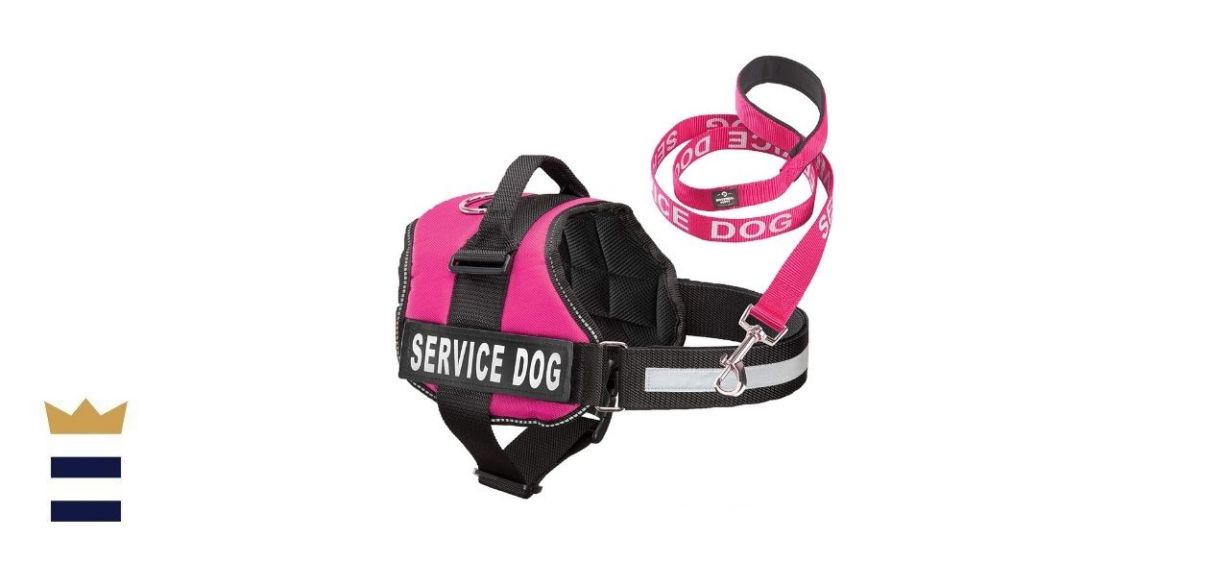 Industrial Puppy Service Dog Vest with Matching Leash