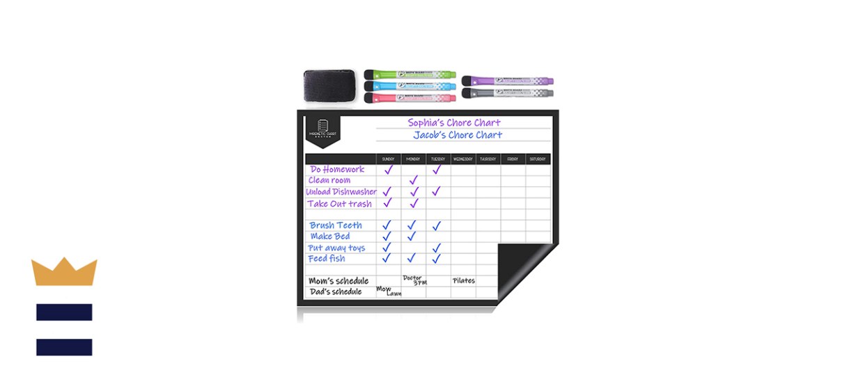 Magnetic Chart Doctor Chart Chart