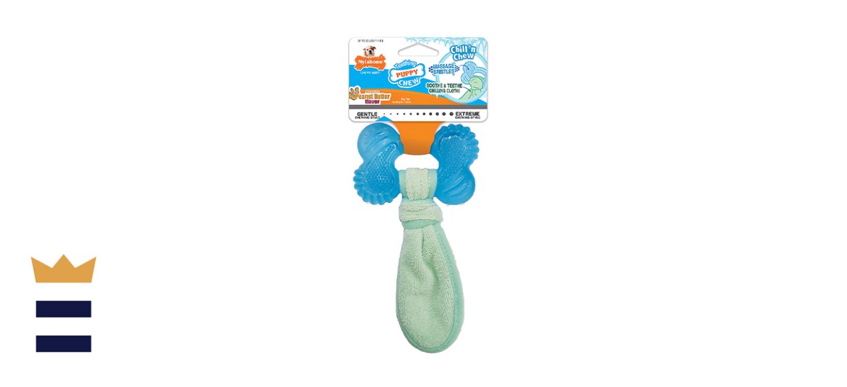 Nylabone Teething Puppy Chew Freezer Bone Dog Toy