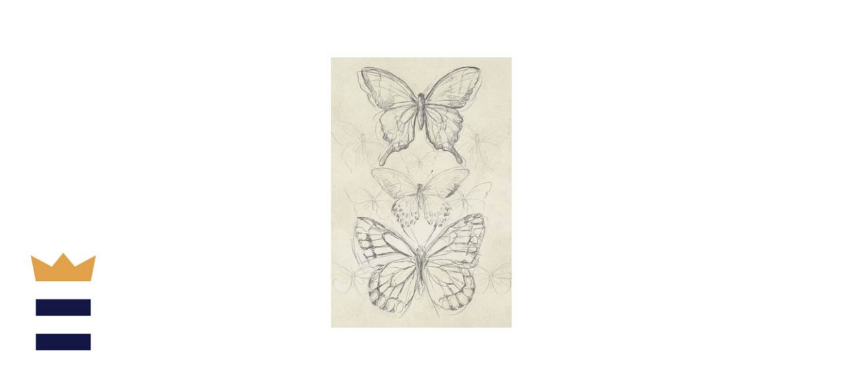 Ophelia &amp; Co. “Vintage Butterfly Sketch II” By June Erica Vess ― Wrapped Canvas Drawing Print