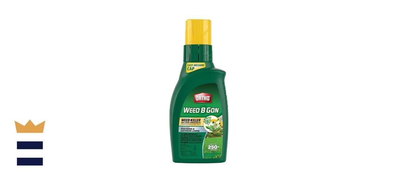  Best weed killer that wont kill grass