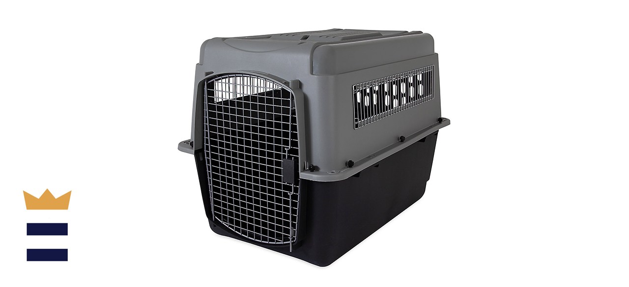 petsmart crates large