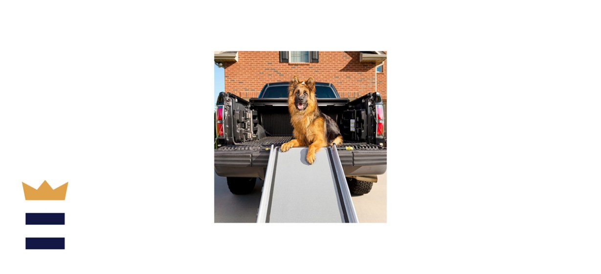 PetSafe Happy Ride Dog Ramp