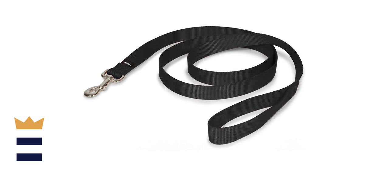 Petsafe premier nylon dog cheap leash