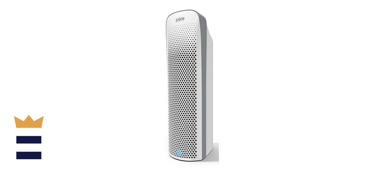Pure Enrichment PureZone Elite True HEPA Large Room Air Purifier