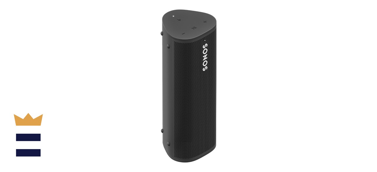 sonos roam alternative