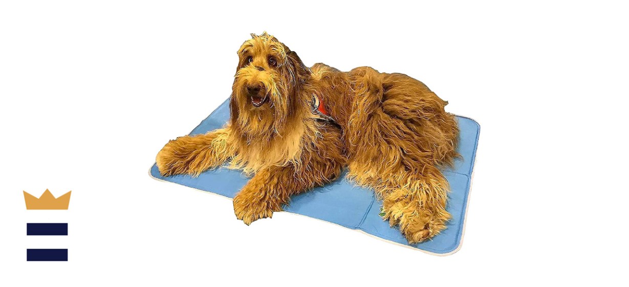 The Green Pet Shop Dog Cooling Mat