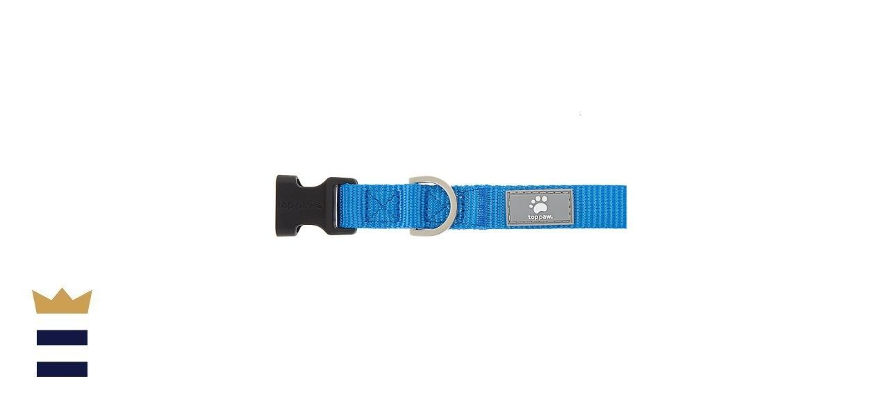 petsmart dog collar training