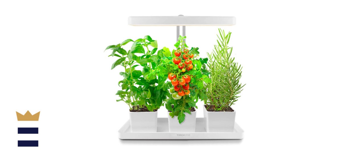 TORCHSTAR Indoor Garden Kit