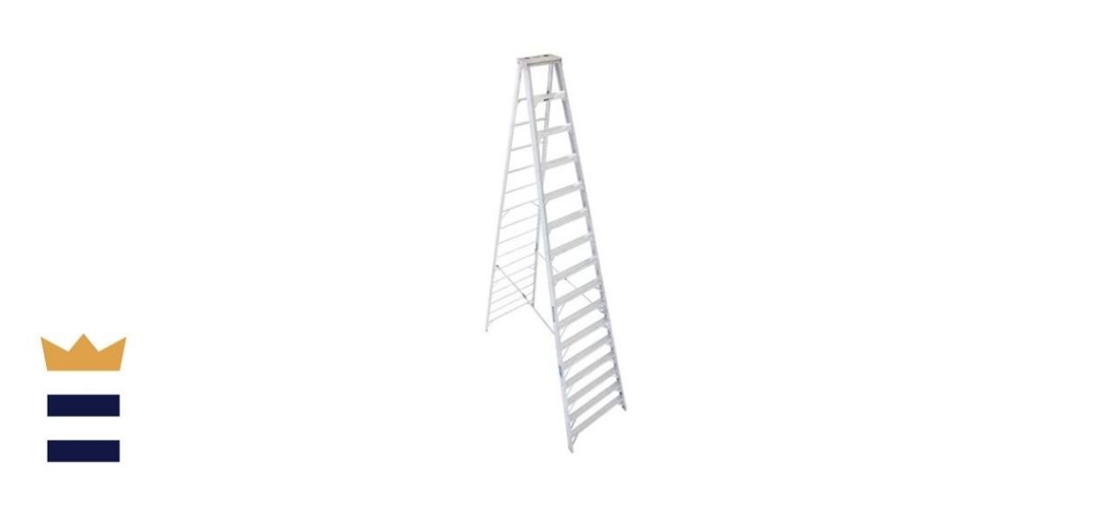 Werner 416 16-Foot Ladder