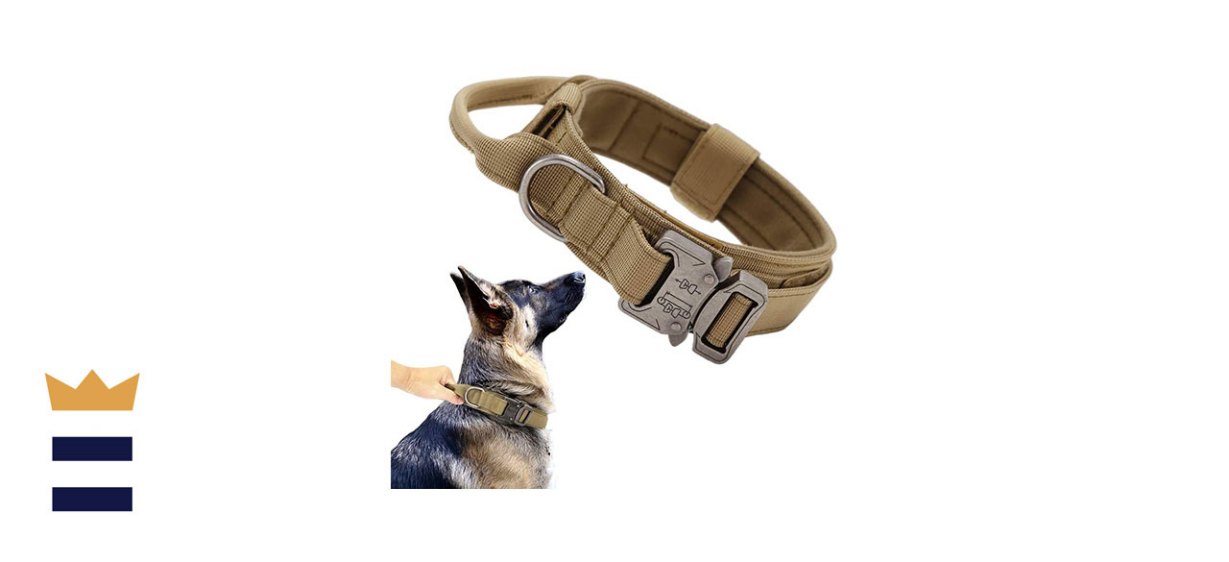 Xqpetlihia Tactical Dog Collar Military