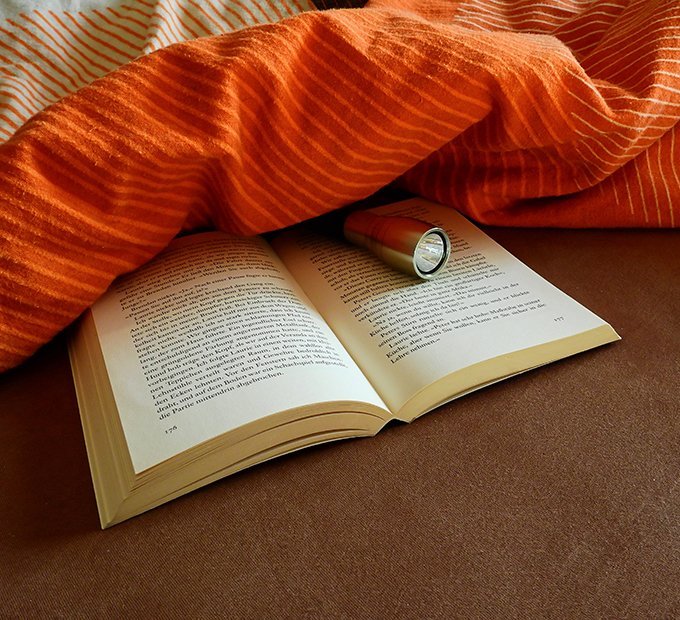 5 Best Electric Blankets Nov. 2017 BestReviews