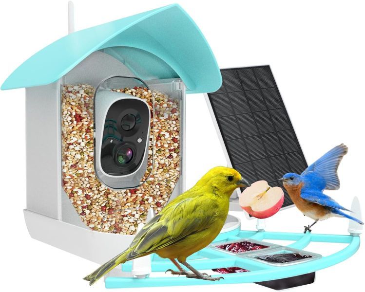 Gyozol Smart Bird Feeder with Camera