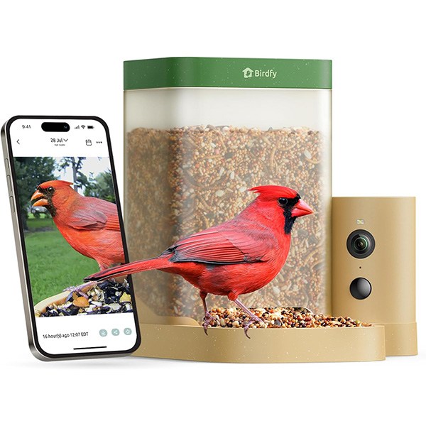 Birdfy