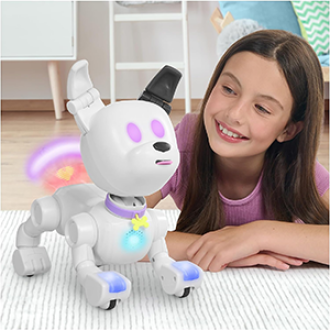 Dog-E Robot Dog