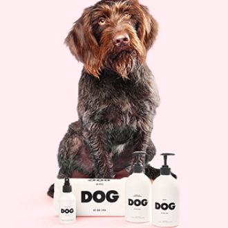 DOG by Dr Lisa Starter Set