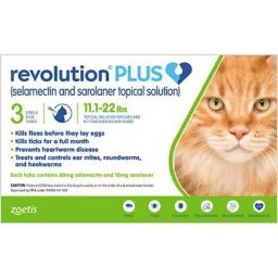 Revolution Plus