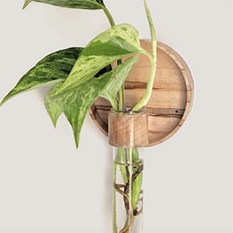 Theory Beyond Design Maple Sunrise Propagation Vase