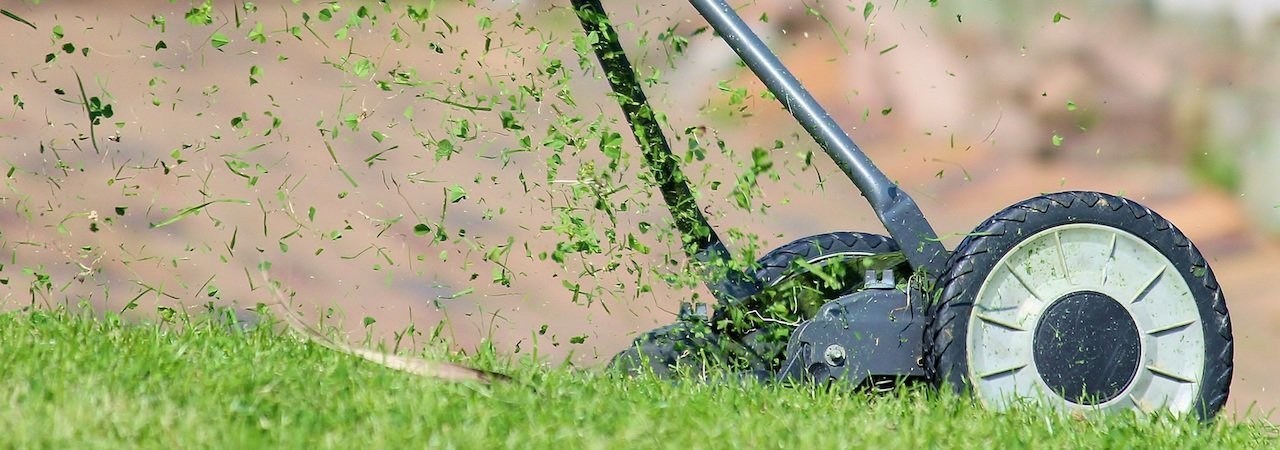 6 Best Lawn Mowers 2024, Top Rated Lawn Mower Reviews