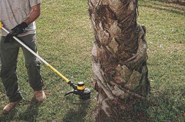 DEWALT Weed Eaters
