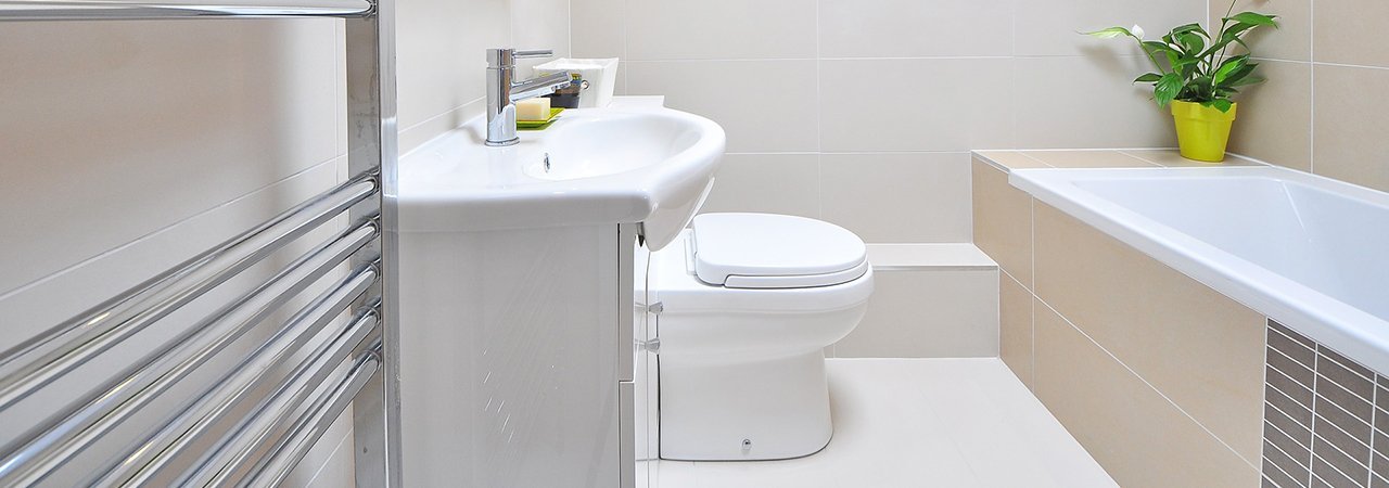 The 10 Best Toilets of 2024