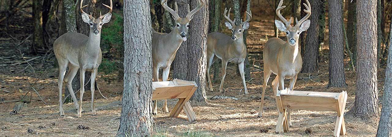Built In Varmint Guard Moultrie Pro Magnum Deer Feeder Kit All