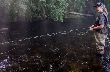 Fly Fishing Rods