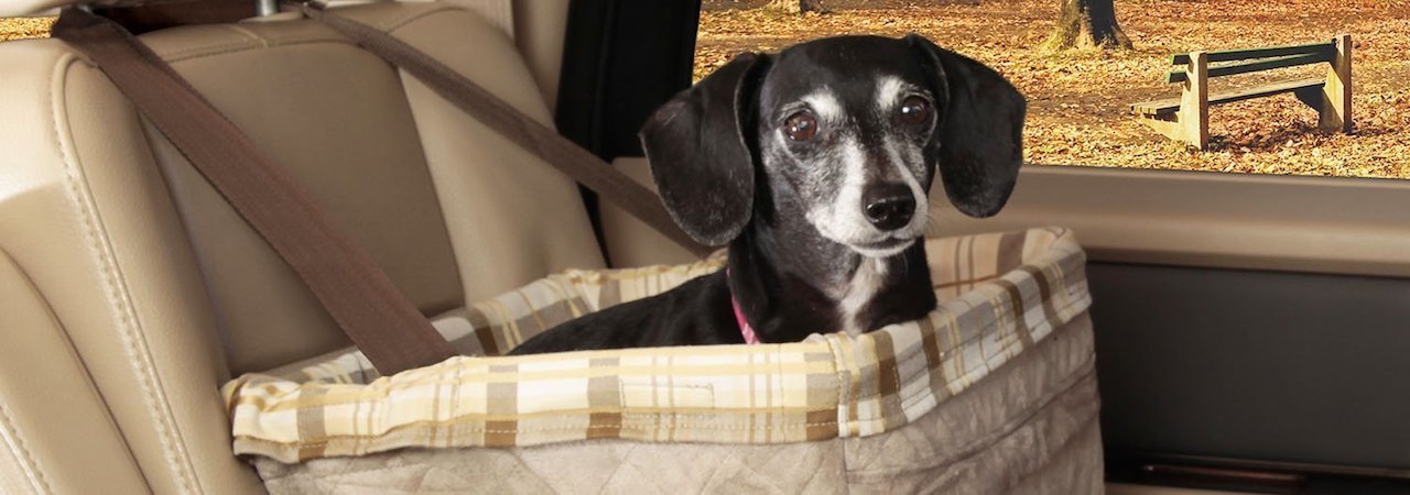 5 Best Dog Car Seats Oct 2019 Bestreviews