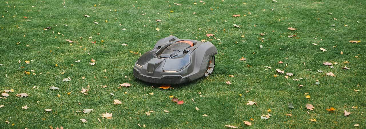 5 Best Robotic Lawn Mowers - Apr. 2024 - BestReviews