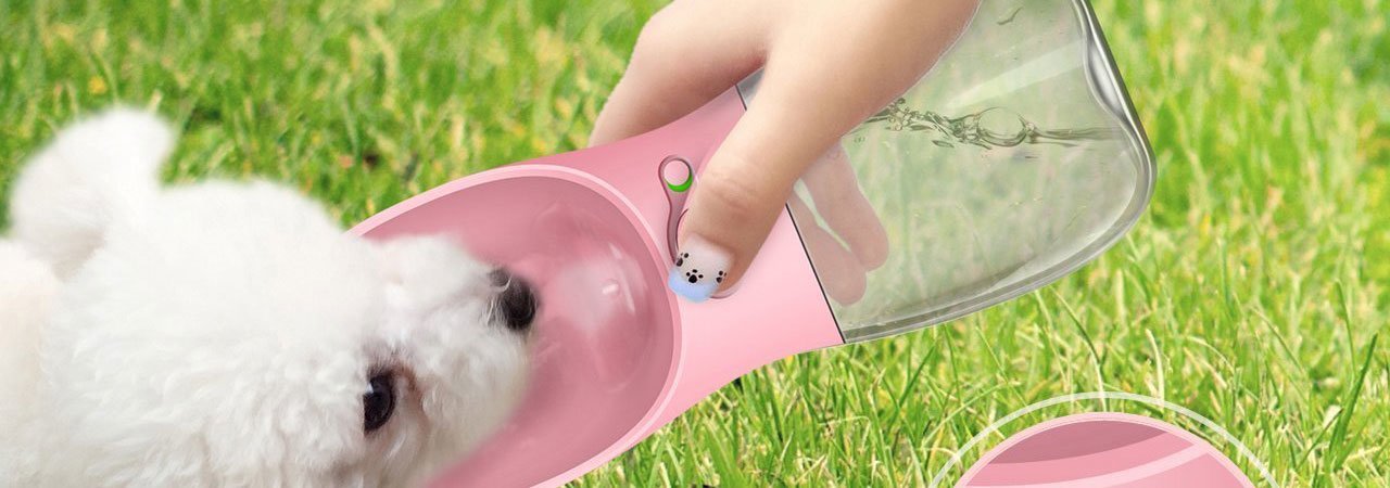 best dog water bottle