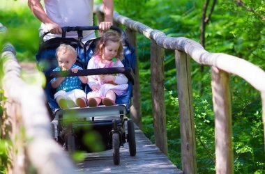 Double Strollers