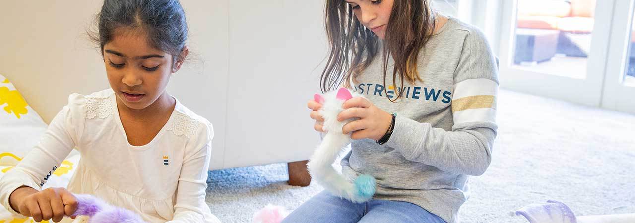 Environmentally friendly and safe pets interactive Sucker Toy – My