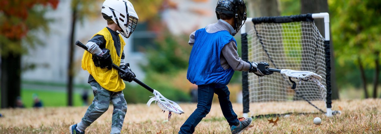 5 Best Lacrosse Goals Feb 2020 Bestreviews